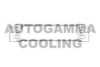 AUTOGAMMA 102016 Intercooler, charger
